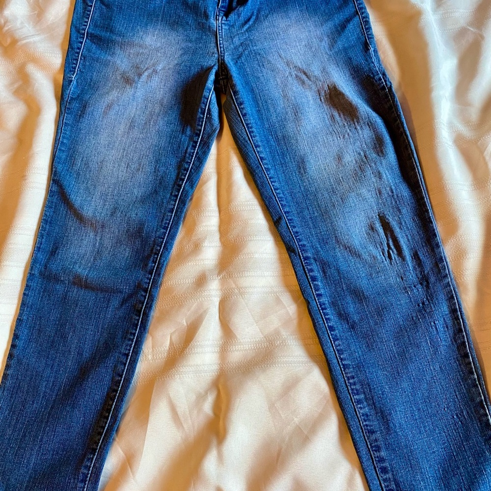 Avenue Women's Blue Jeans Jeggings